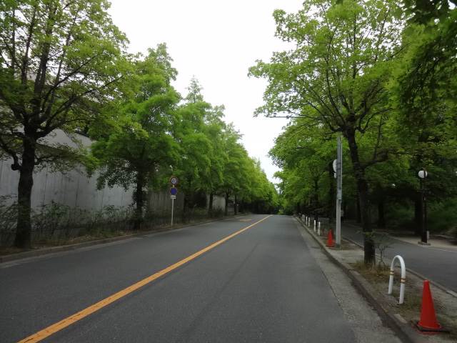 藤白台住宅　藤白台　街並み