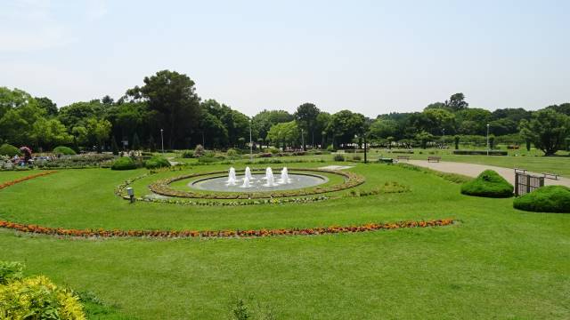 コープ野村江坂台　服部緑地公園