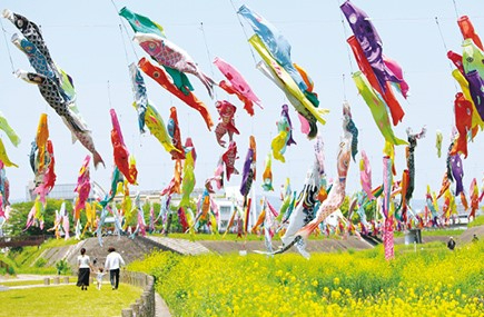 千里丘ビューハイツ　大正川公園の春の風物詩！1111匹の鯉のぼりが青空を舞います！