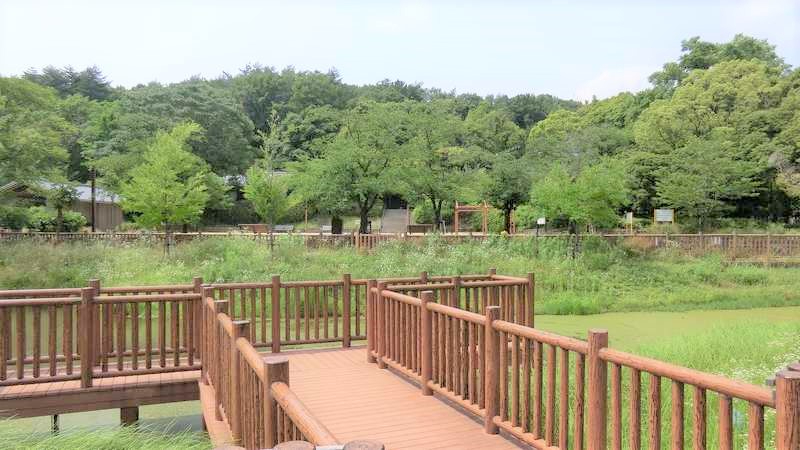 ローレルコート南千里　紫金山公園