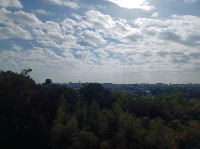 グランドメゾン万博公園南　バルコニーからの眺望