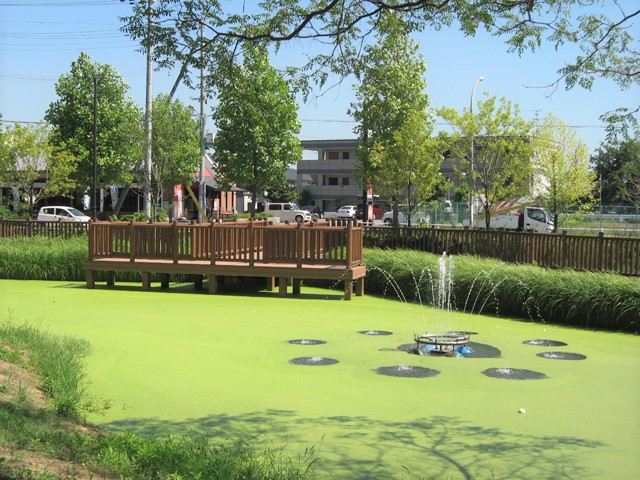 星和プラネタウン千里南第３期Ａ棟　紫金山公園 