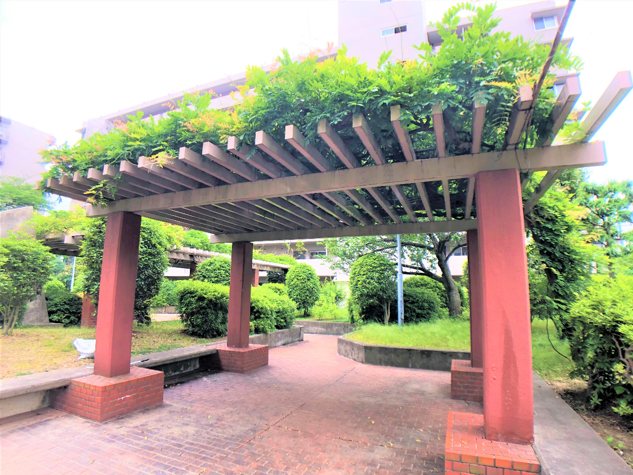 日興千里台スカイタウン Ｂ棟　敷地内施設　暑い日にはありがたい藤棚