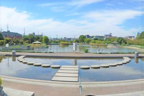 イトーピア東千里　市場池公園 
