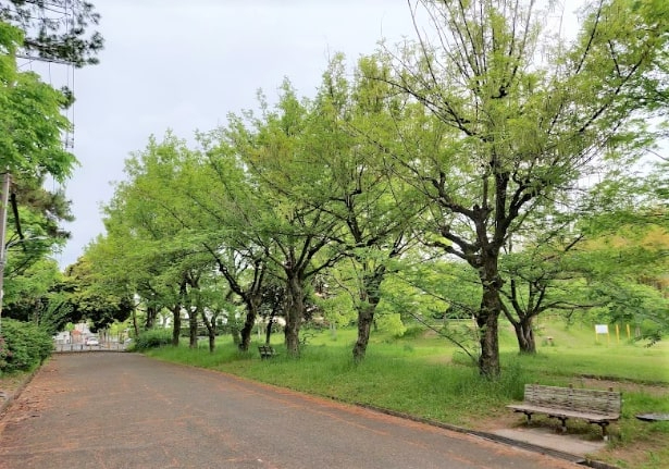 シーアイハイツ南千里Ｂ棟　むらさき公園