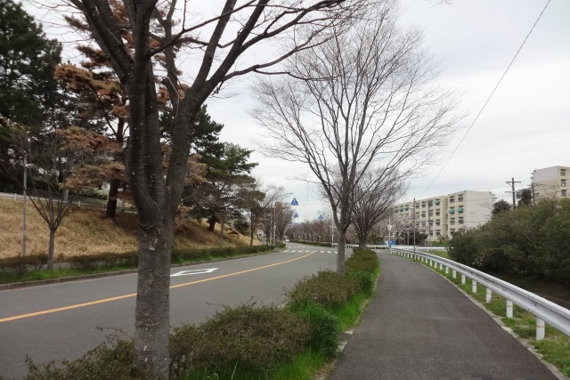 千里高野台ハイツ　高野台の街並み