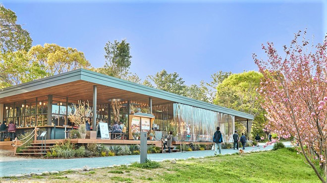 千里高野台ハイツ　千里南公園内の人気カフェ★バードツリー！