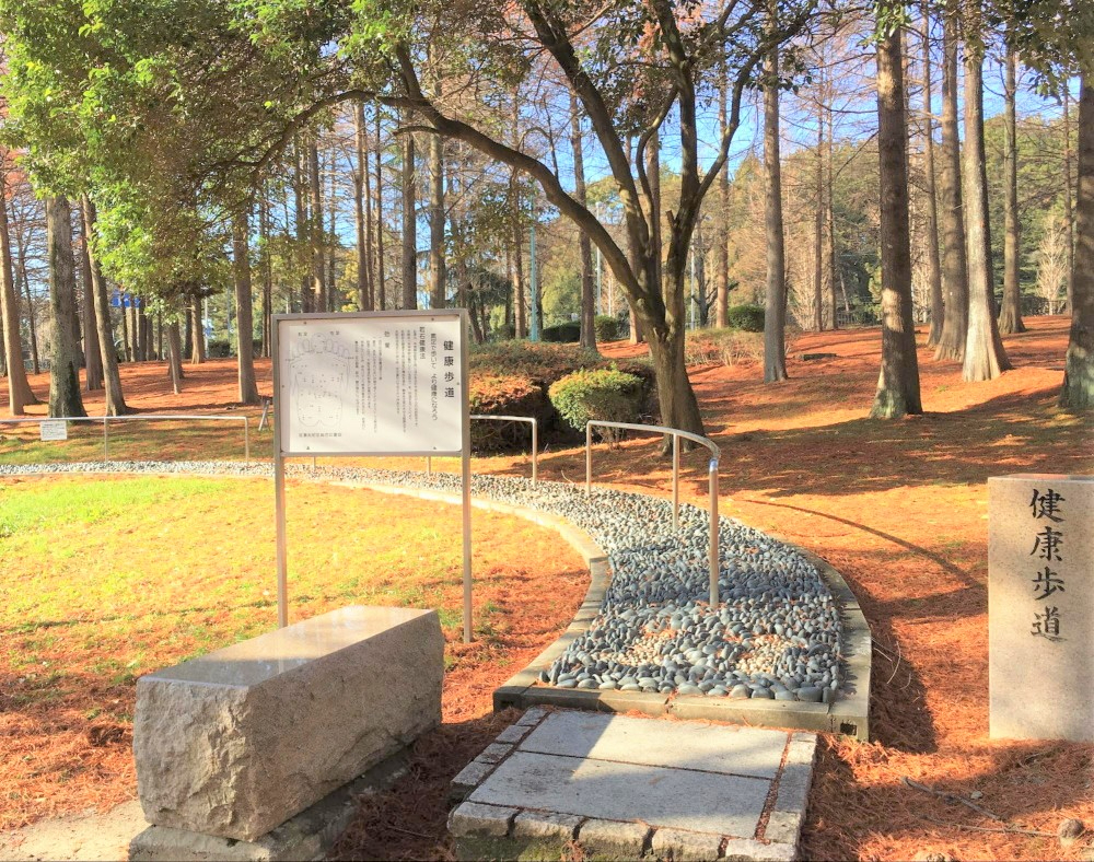 メロディーハイム桃山台　桃山公園