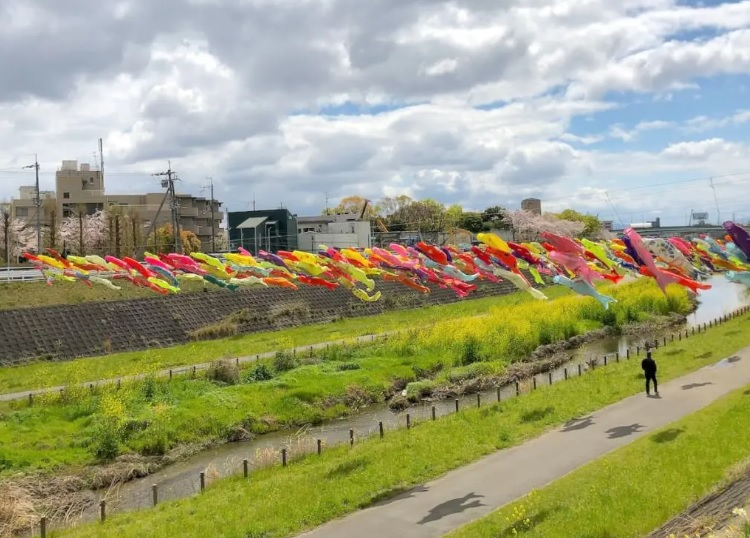 パークタワー南千里丘　大正川公園　