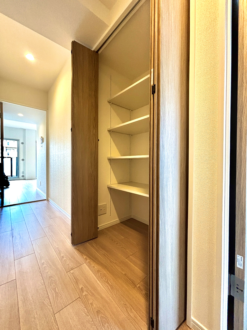 コスモ・ザ・パークスイースト2　収納