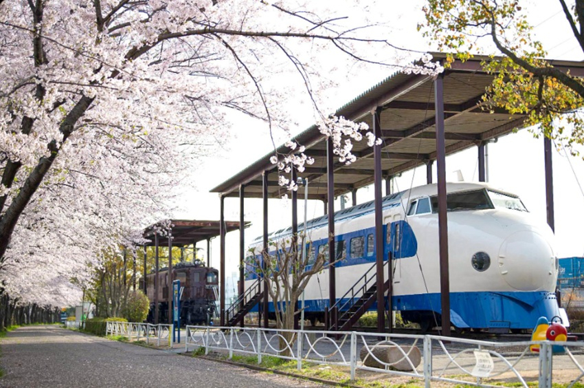 摂津スカイハイツ　新幹線公園は0系新幹線車両があり、春は桜が綺麗です！